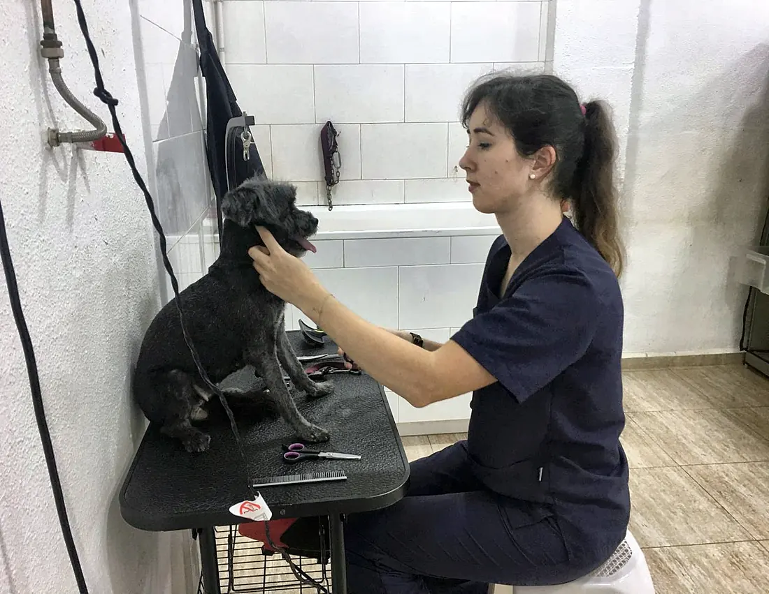 Patricia, peluquera canina en Alcantarilla, sujetándole la cabeza a un perro sobre la mesa de peluquería y hablándole antes de empezar